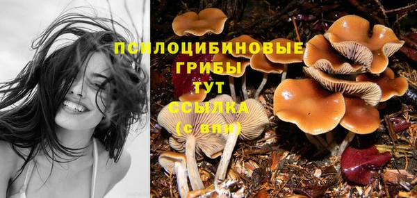 MDMA Коряжма