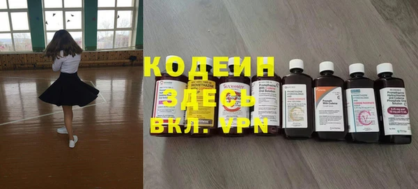 молекула духа Костерёво