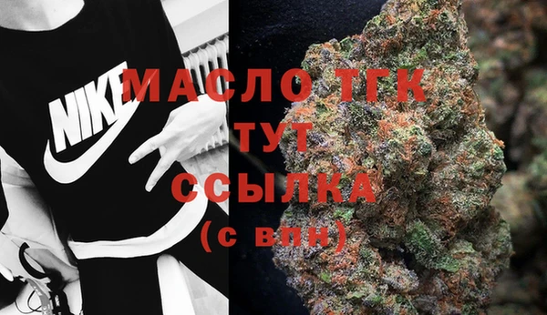 молекула духа Костерёво