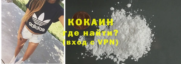 молекула духа Костерёво