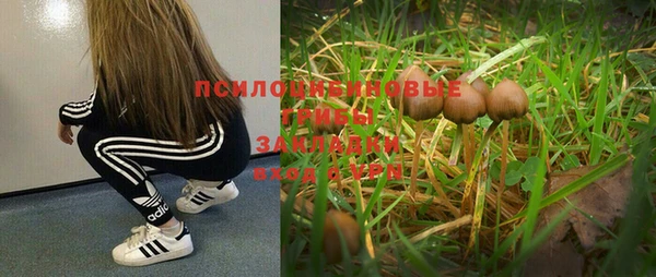 каннабис Корсаков