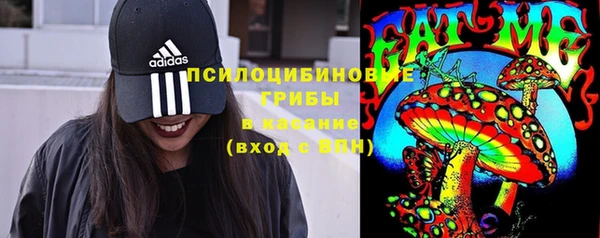молекула духа Костерёво