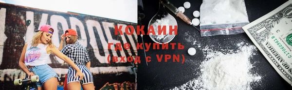 каннабис Корсаков